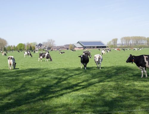 Overview of IHT agricultural relief