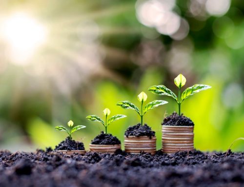 Tax rules for savings interest