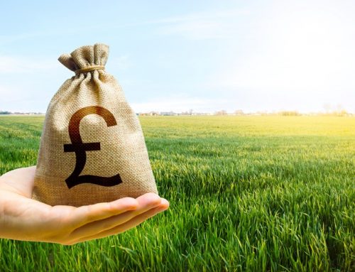 Do you have additional income streams?