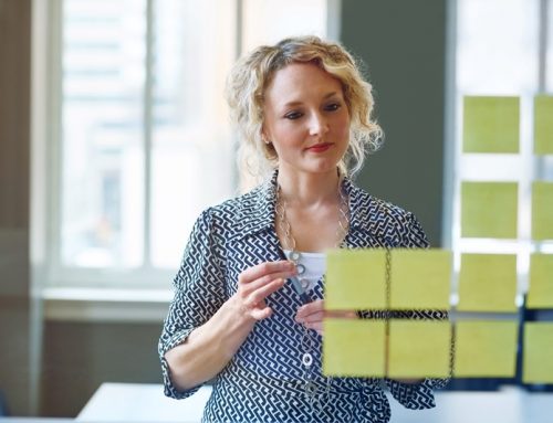 Understanding the responsibilities of company directors