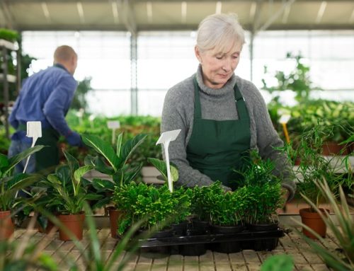 The rise of the silver economy